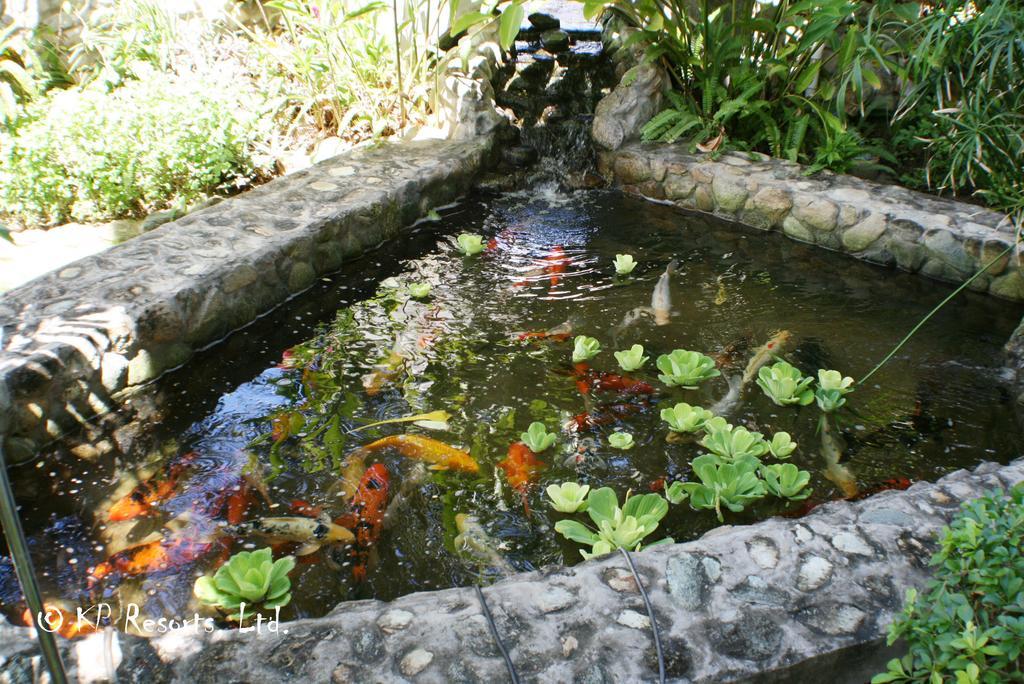 Enchanted Waters Tobago Buccoo Экстерьер фото